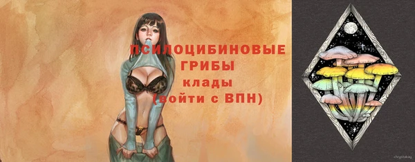 прущие крисы Армянск