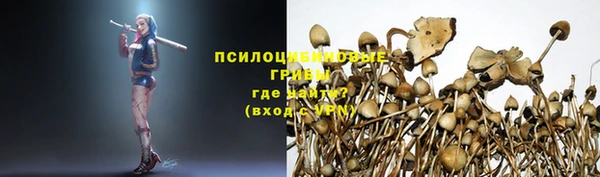 круглые Арсеньев