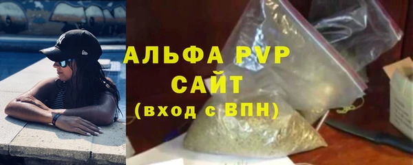 PSILOCYBIN Аркадак