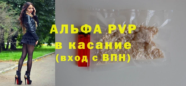 PSILOCYBIN Аркадак